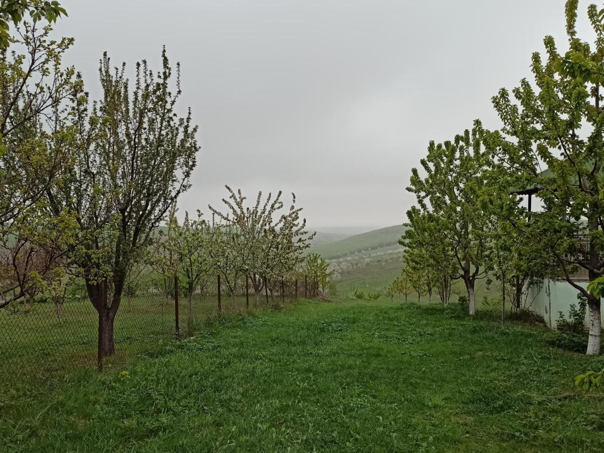 Вилла La Casa De Habel Губа Экстерьер фото
